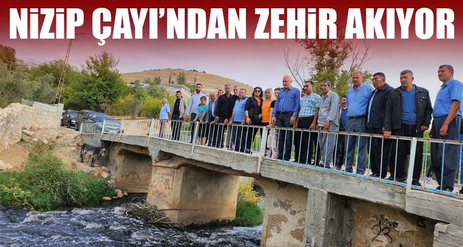 Melih MERİÇ | 28. Dönem CHP Gaziantep Milletvekili - Nizip Çayı’ndan zehir akıyor